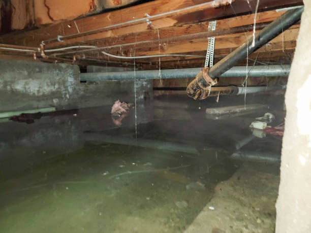 Water damage restoration experts in Scottdale, PA