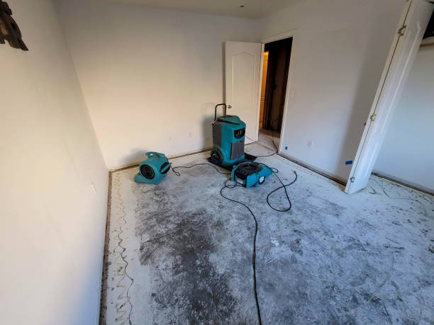 Best Water damage restoration cost  in Scottdale, PA
