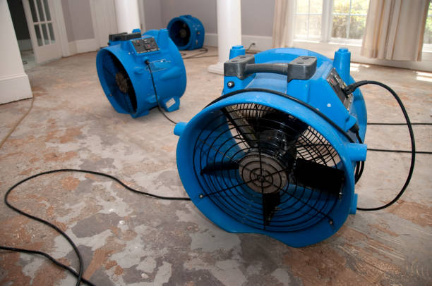 Best Flood restoration services  in Scottdale, PA