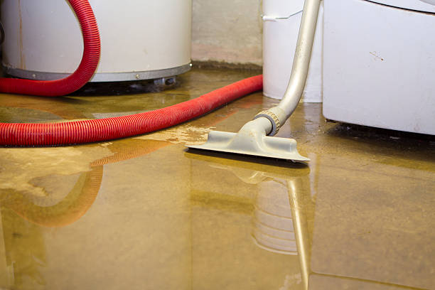 Best Flood damage cleanup  in Scottdale, PA