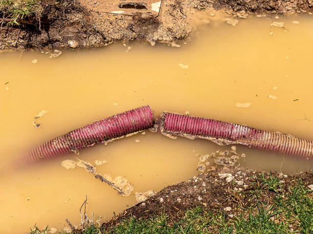 Professional Water damage restoration in Scottdale, PA
